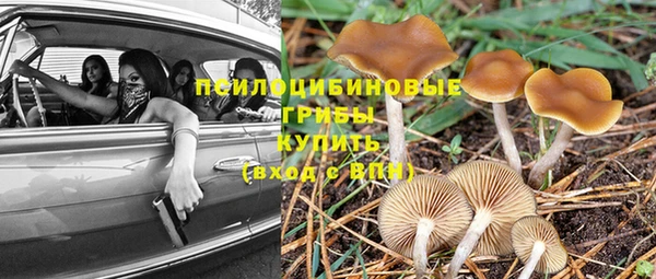 соль ск Гусиноозёрск