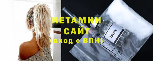 шишки Гусев