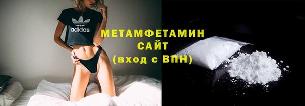 шишки Гусев