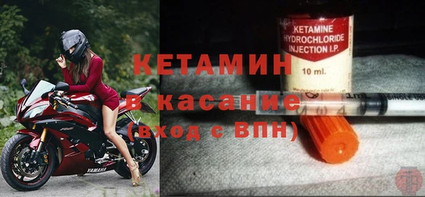 шишки Гусев