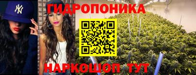 дживик Краснодар