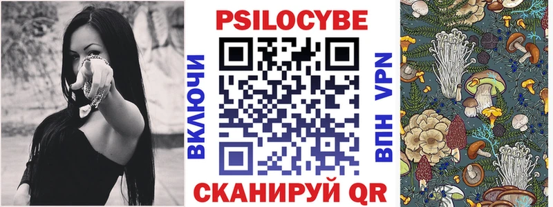ссылка на мегу сайт  Пенза  Галлюциногенные грибы Psilocybe 